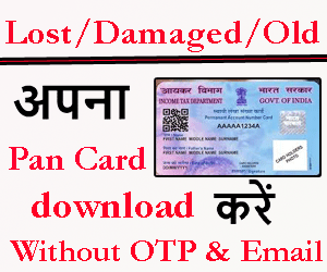Download lost damaged old pan card