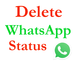How-to-Delete-WhatsApp-Stat