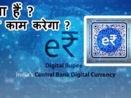 CBDC RBI Digital Rupee